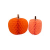 ZUCCHE DECORATIVE - SET DA DUE