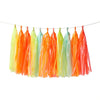 GHIRLANDA FRANGE - PASTELLO FLUO