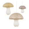 LANTERNE IN CARTA - FUNGHI LIBERTY