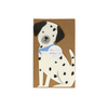 TOVAGLIOLI IN CARTA - CAGNOLINO