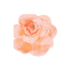 TOVAGLIOLI IN CARTA - ROSE GARDEN