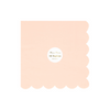 TOVAGLIOLI IN CARTA LARGE - BASIC PINK BALLET