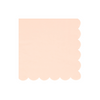 TOVAGLIOLI IN CARTA LARGE - BASIC PINK BALLET