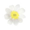 Piatti in carta Large - Flower Garden 2